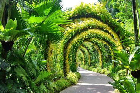 Orchid gardens - Singapore Botanic Gardens, 1 Cluny Road, Singapore; daily from 5 a.m. to midnight; free. National Orchid Garden, daily 8:30 a.m.-7 p.m.; adults S$5 ($3.50), students and seniors S$1. Jonathan Choe ...